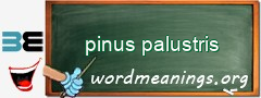 WordMeaning blackboard for pinus palustris
